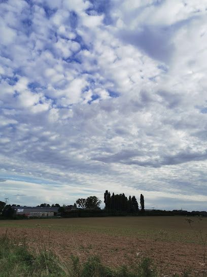 Roumare